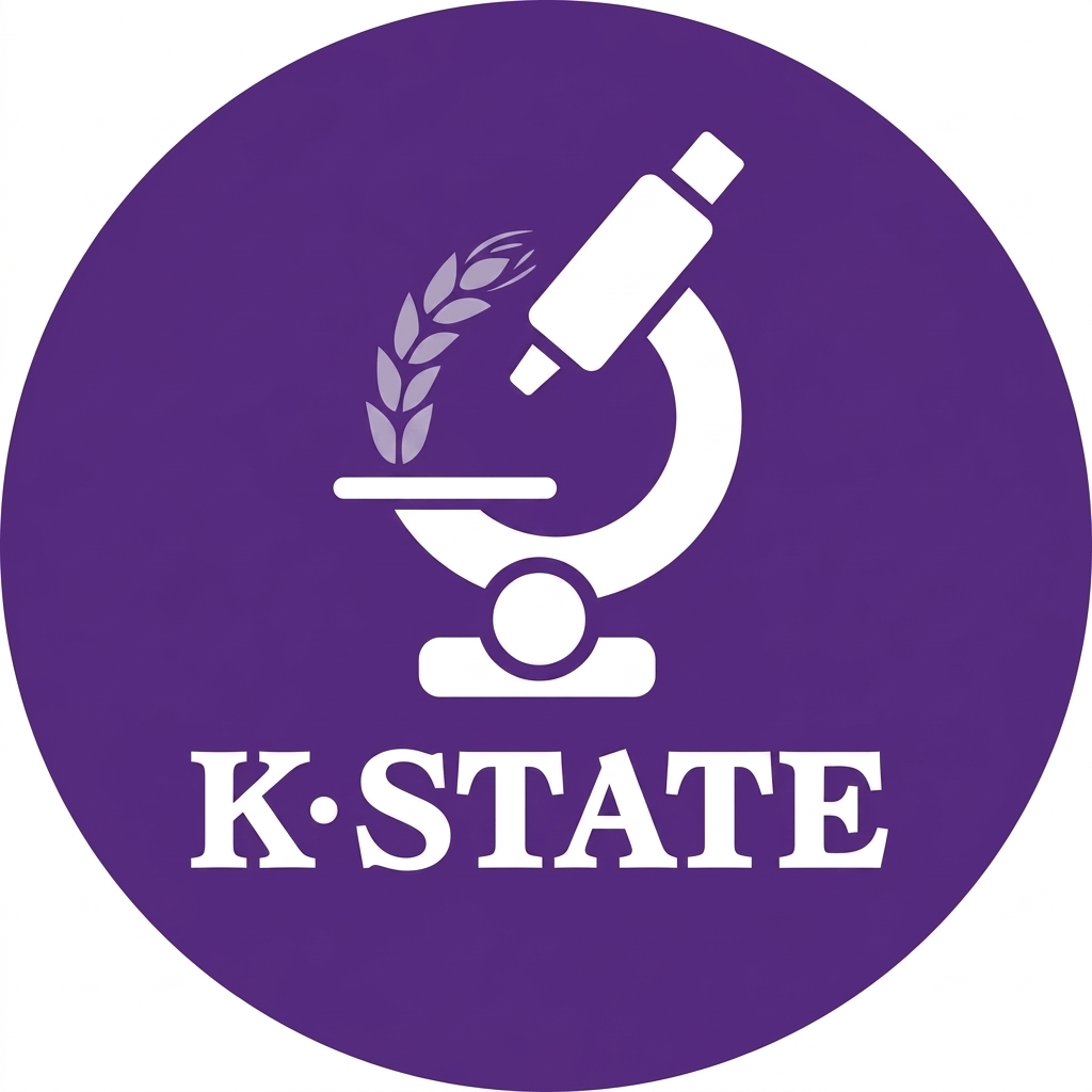 Innovative Research Award – May 2021