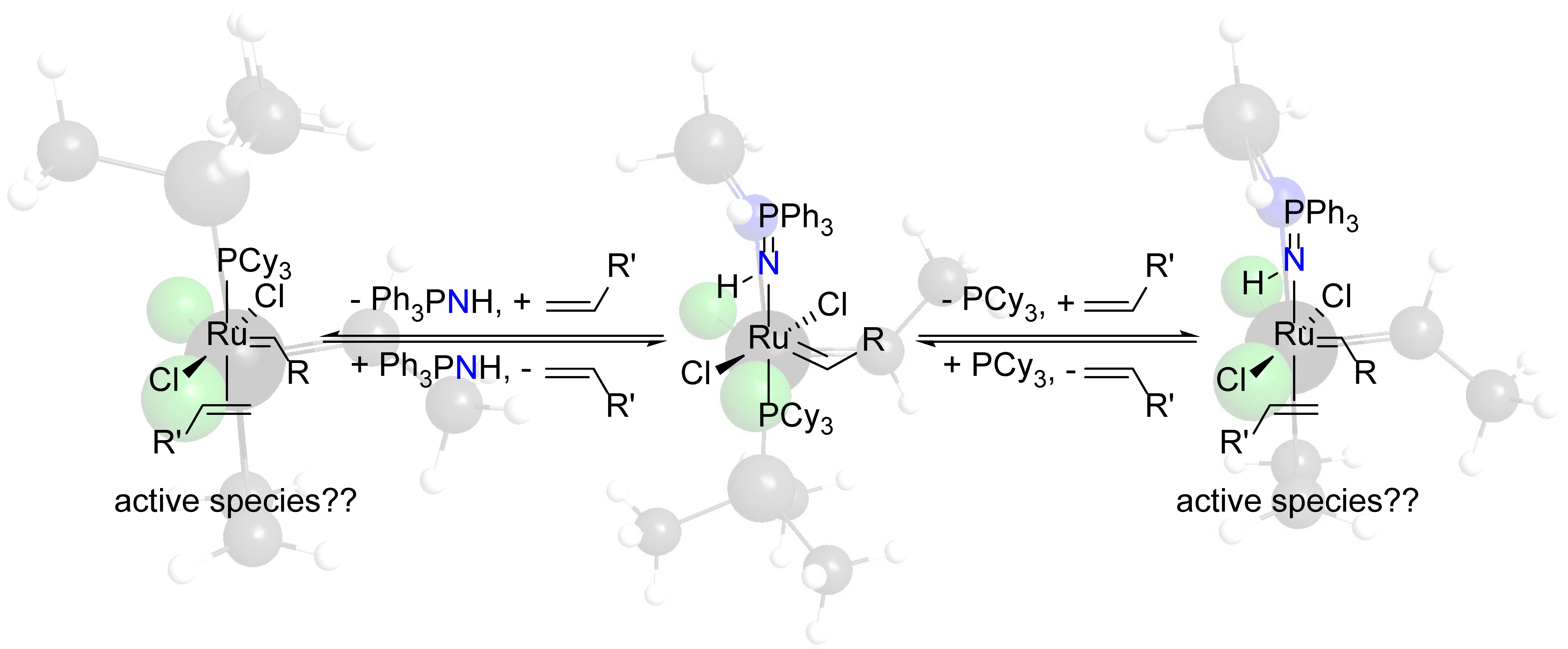 A Fast-Initiating Olefin Metathesis Catalyst