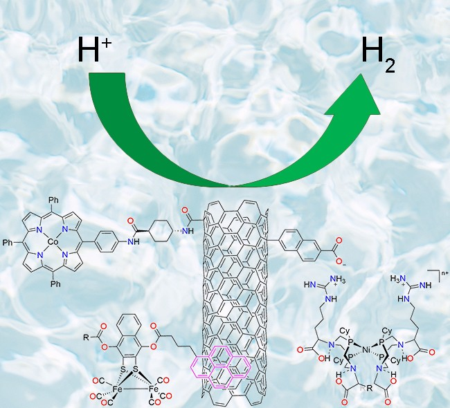 Review on HER and Molecular Design in Heterogeneous Catalysts